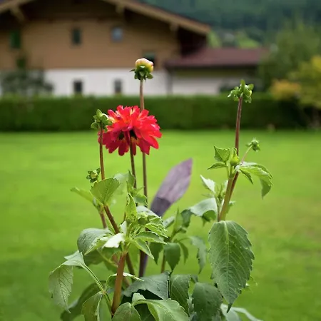 Smaragd Chalet